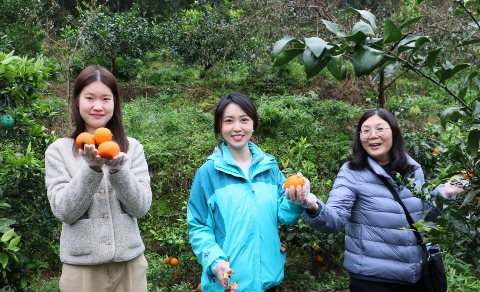 11 月 6 日至 7 日